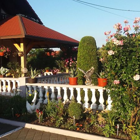 Čatrnja Guesthouse Tomas מראה חיצוני תמונה