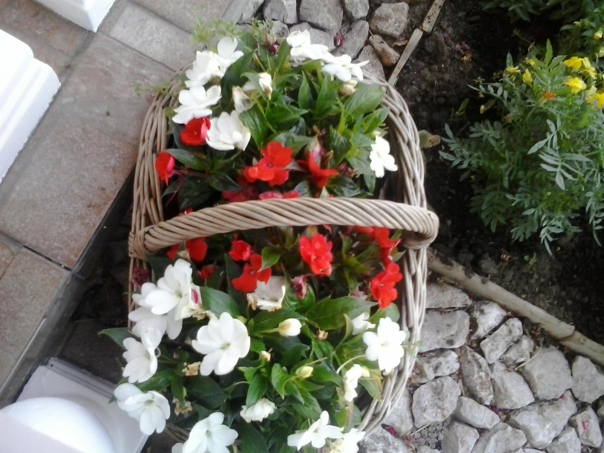 Čatrnja Guesthouse Tomas מראה חיצוני תמונה