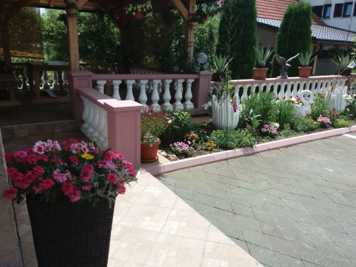 Čatrnja Guesthouse Tomas מראה חיצוני תמונה